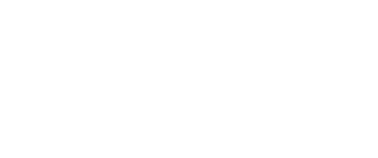 Project Worldwide Logo