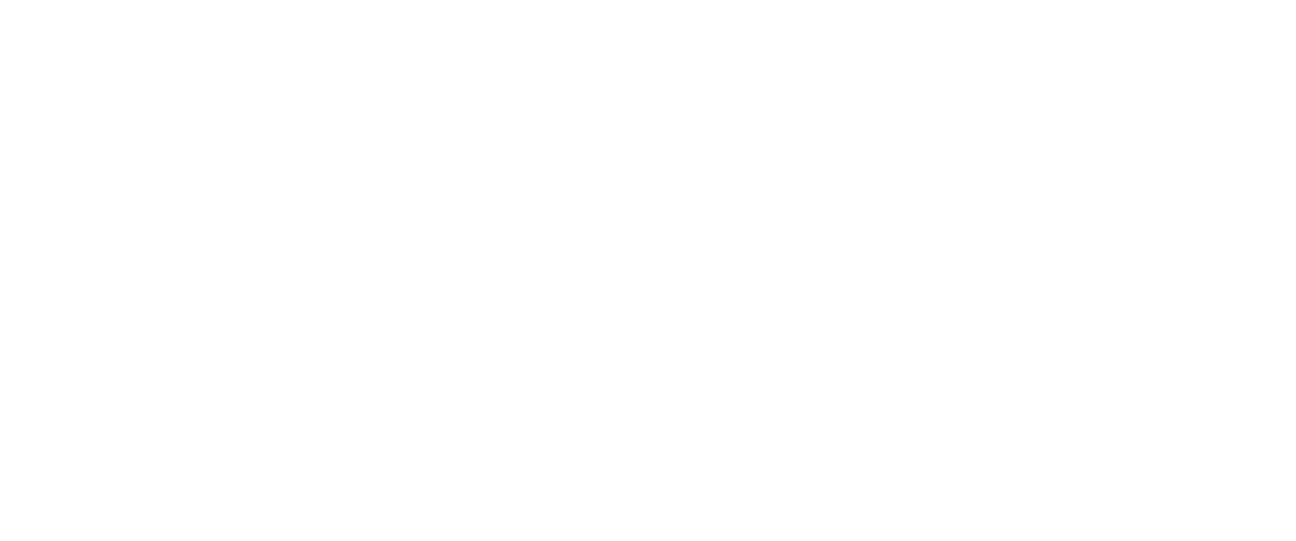 Project Worldwide Logo